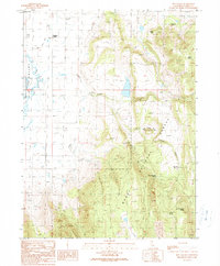 Download a high-resolution, GPS-compatible USGS topo map for Hog Valley, CA (1990 edition)