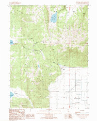 Download a high-resolution, GPS-compatible USGS topo map for Holbrook Canyon, CA (1990 edition)