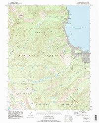 Download a high-resolution, GPS-compatible USGS topo map for Homewood, CA (1994 edition)