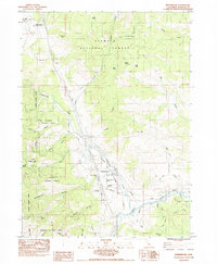 Download a high-resolution, GPS-compatible USGS topo map for Hornbrook, CA (1984 edition)