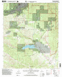 Download a high-resolution, GPS-compatible USGS topo map for Idyllwild, CA (1999 edition)