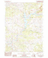 Download a high-resolution, GPS-compatible USGS topo map for Iron Gate Reservoir, CA (1984 edition)
