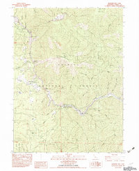 Download a high-resolution, GPS-compatible USGS topo map for Ironside Mtn, CA (1982 edition)