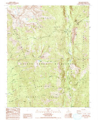 Download a high-resolution, GPS-compatible USGS topo map for Kern Lake, CA (1993 edition)