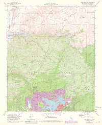 Download a high-resolution, GPS-compatible USGS topo map for Lake Arrowhead, CA (1981 edition)