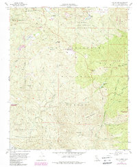 Download a high-resolution, GPS-compatible USGS topo map for Lake Fulmor, CA (1988 edition)