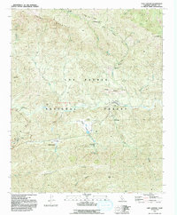 Download a high-resolution, GPS-compatible USGS topo map for Lion Canyon, CA (1991 edition)
