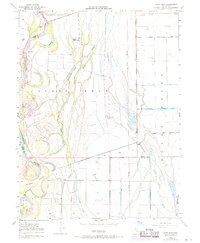 Download a high-resolution, GPS-compatible USGS topo map for Llano Seco, CA (1971 edition)