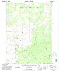 Download a high-resolution, GPS-compatible USGS topo map for Lone Pine Butte, CA (1996 edition)