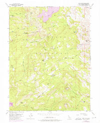 Download a high-resolution, GPS-compatible USGS topo map for Loon Lake, CA (1975 edition)
