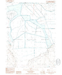 Download a high-resolution, GPS-compatible USGS topo map for Lower Klamath Lake, CA (1985 edition)