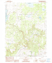 Download a high-resolution, GPS-compatible USGS topo map for Mahogany Ridge, CA (1990 edition)