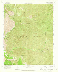 Download a high-resolution, GPS-compatible USGS topo map for Manzanita Mtn, CA (1965 edition)