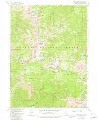 Download a high-resolution, GPS-compatible USGS topo map for Marble Mountain, CA (1980 edition)