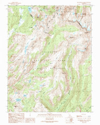 Download a high-resolution, GPS-compatible USGS topo map for Matterhorn Peak, CA (1990 edition)