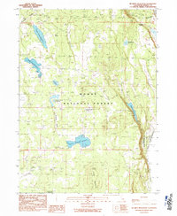 Download a high-resolution, GPS-compatible USGS topo map for Mc Ginty Reservoir, CA (1990 edition)
