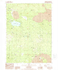 Download a high-resolution, GPS-compatible USGS topo map for Medicine Lake, CA (1988 edition)