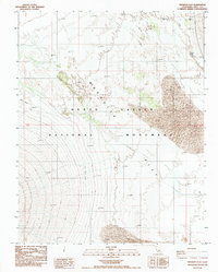 Download a high-resolution, GPS-compatible USGS topo map for Mesquite Flat, CA (1988 edition)