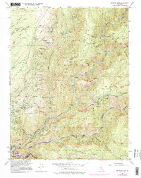 Download a high-resolution, GPS-compatible USGS topo map for Michigan Bluff, CA (1995 edition)