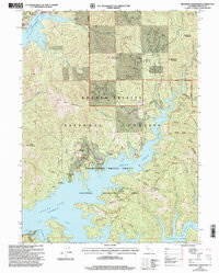 Download a high-resolution, GPS-compatible USGS topo map for Minnesota Mountain, CA (2003 edition)