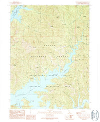 Download a high-resolution, GPS-compatible USGS topo map for Minnesota Mountain, CA (1990 edition)