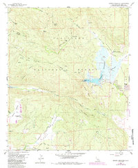 Download a high-resolution, GPS-compatible USGS topo map for Morena Reservoir, CA (1985 edition)