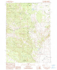 Download a high-resolution, GPS-compatible USGS topo map for Mount Bidwell, CA (1990 edition)