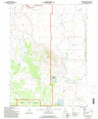 preview thumbnail of historical topo map of Siskiyou County, CA in 1993