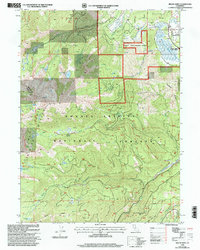 Download a high-resolution, GPS-compatible USGS topo map for Mount Eddy, CA (2003 edition)