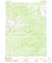 Download a high-resolution, GPS-compatible USGS topo map for Mount Eddy, CA (1986 edition)