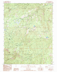 Download a high-resolution, GPS-compatible USGS topo map for Muir Grove, CA (1994 edition)