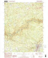 Download a high-resolution, GPS-compatible USGS topo map for Nevada City, CA (1995 edition)