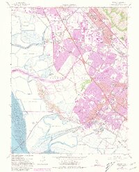 1959 Map of Newark, 1981 Print