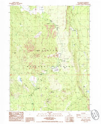 Download a high-resolution, GPS-compatible USGS topo map for Old Station, CA (1985 edition)