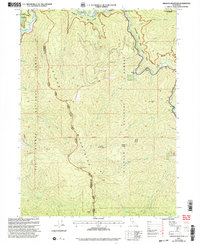 Download a high-resolution, GPS-compatible USGS topo map for Orleans Mountain, CA (2004 edition)