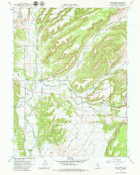 Download a high-resolution, GPS-compatible USGS topo map for Palo Cedro, CA (1979 edition)