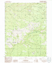 Download a high-resolution, GPS-compatible USGS topo map for Panther Spring, CA (1986 edition)