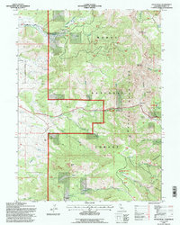 Download a high-resolution, GPS-compatible USGS topo map for Payne Peak, CA (1996 edition)
