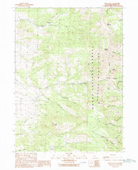 Download a high-resolution, GPS-compatible USGS topo map for Payne Peak, CA (1990 edition)