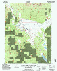 Download a high-resolution, GPS-compatible USGS topo map for Pine Creek Valley, CA (1998 edition)