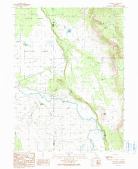 Download a high-resolution, GPS-compatible USGS topo map for Pittville, CA (1990 edition)