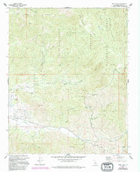 Download a high-resolution, GPS-compatible USGS topo map for Piute Peak, CA (1994 edition)