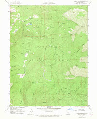 Download a high-resolution, GPS-compatible USGS topo map for Plaskett meadows, CA (1969 edition)