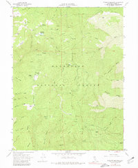 Download a high-resolution, GPS-compatible USGS topo map for Plaskett meadows, CA (1981 edition)