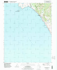 Download a high-resolution, GPS-compatible USGS topo map for Point Ano Nuevo, CA (1999 edition)