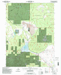 Download a high-resolution, GPS-compatible USGS topo map for Poison Lake, CA (1998 edition)
