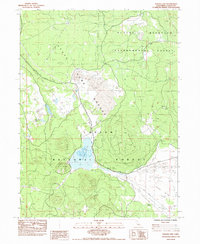 Download a high-resolution, GPS-compatible USGS topo map for Poison Lake, CA (1984 edition)