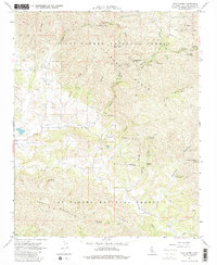 Download a high-resolution, GPS-compatible USGS topo map for Pozo Summit, CA (1980 edition)