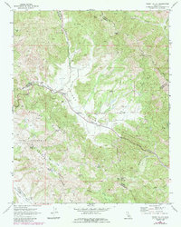 Download a high-resolution, GPS-compatible USGS topo map for Priest Valley, CA (1984 edition)