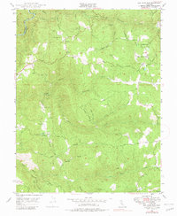 Download a high-resolution, GPS-compatible USGS topo map for Rail Road Flat, CA (1981 edition)